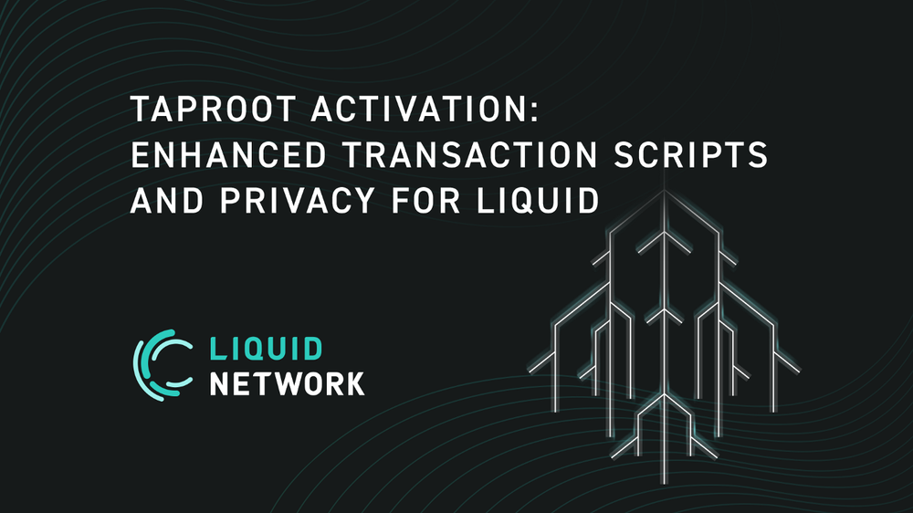 Taproot Activation: Enhanced Transaction Scripts and Privacy for Liquid