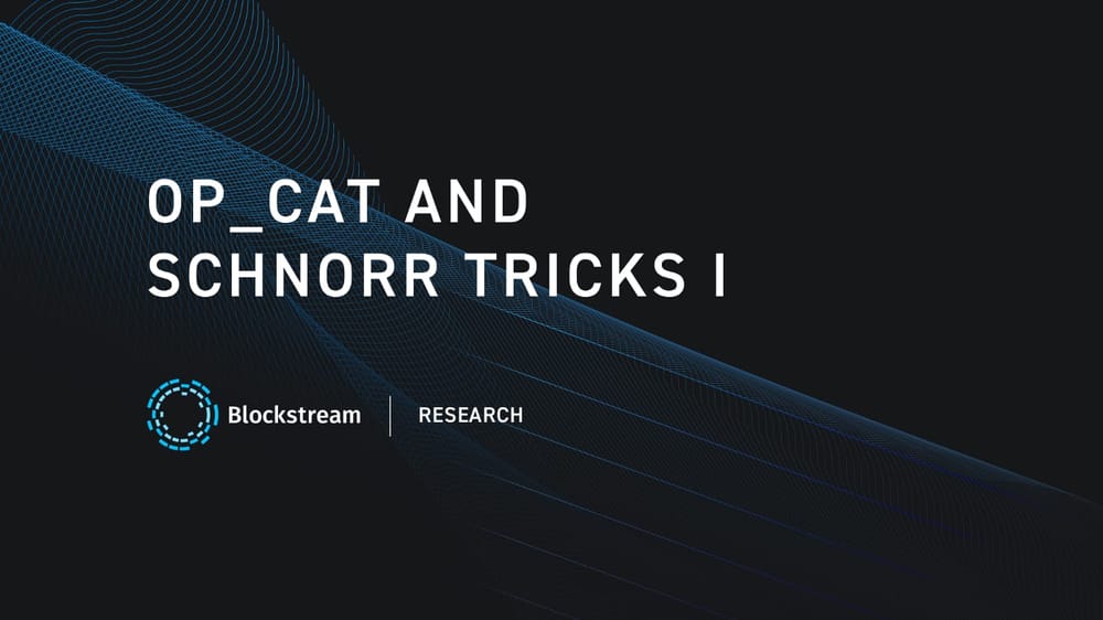 CAT and Schnorr Tricks I