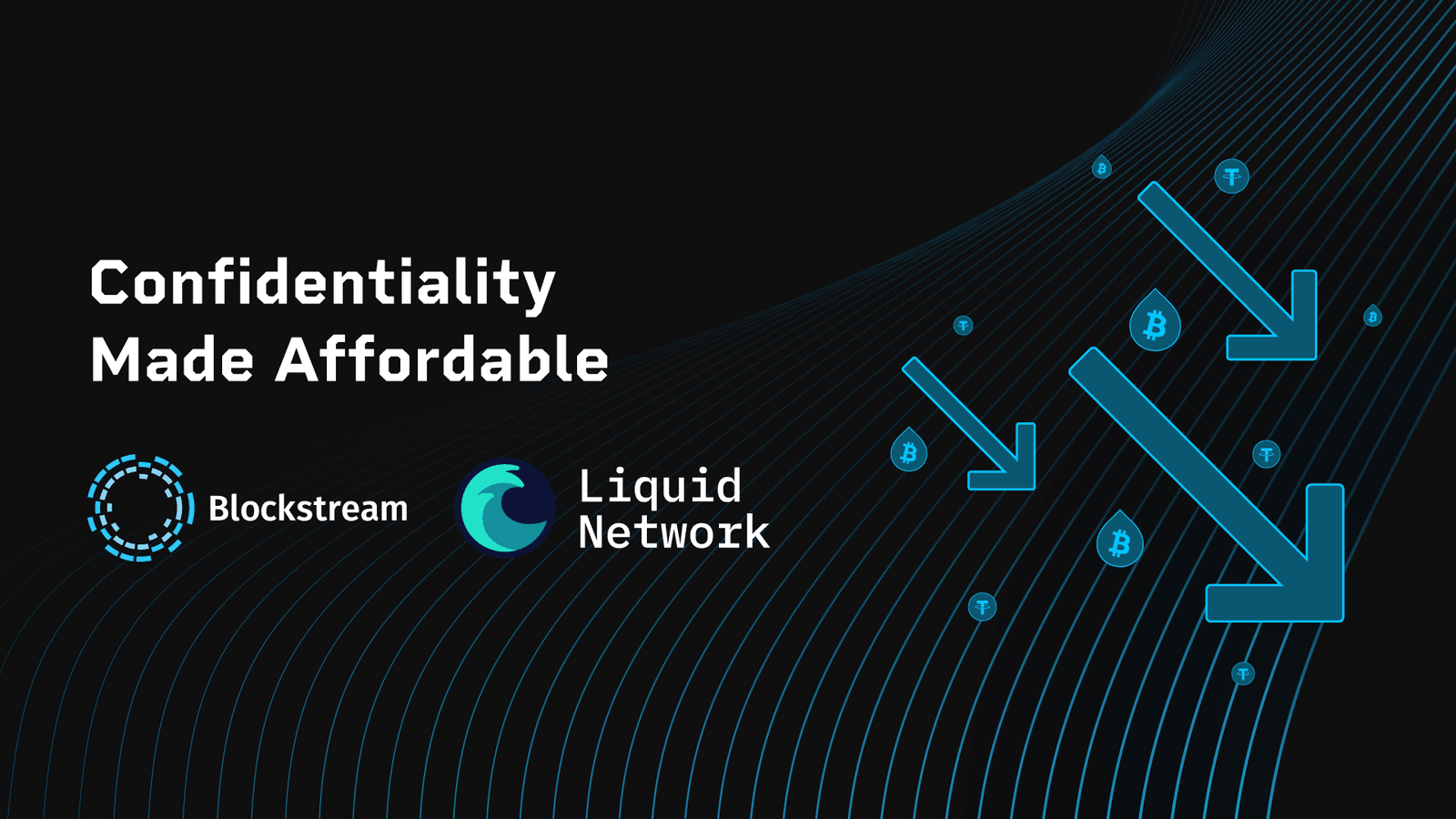 Confidentiality Made Affordable: ELIP 200 Unlocks up to 90% Lower Fees on Liquid
