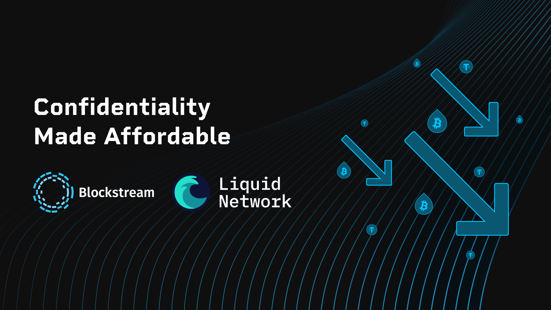 Confidentiality Made Affordable: ELIP 200 Unlocks up to 90% Lower Fees on Liquid
